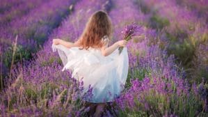beautiful young girl white dress walking with bouquet lavender field cropped 13